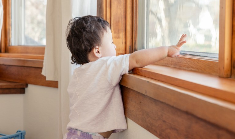 Toddler looking out a window
