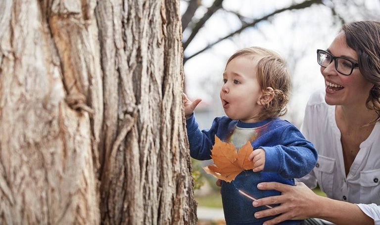 Baby outside looking at a tree being supported by a woman