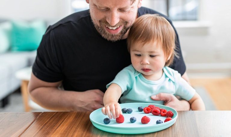 Toddler sitting on a man's lap looking at a plate of raspberries and blueberries